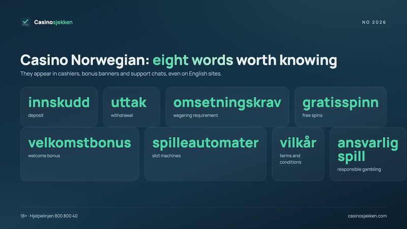 Online casino Norway glossary: innskudd, uttak, omsetningskrav, gratisspinn and other Norwegian casino words in English